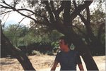 Cipri4