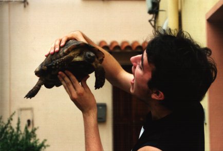 Turtle1