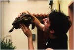 Turtle1