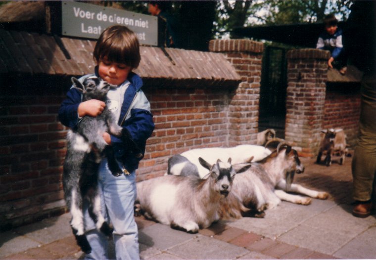 Goats