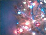 Tree5