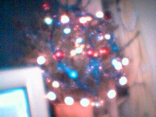 Tree6