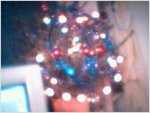 Tree6