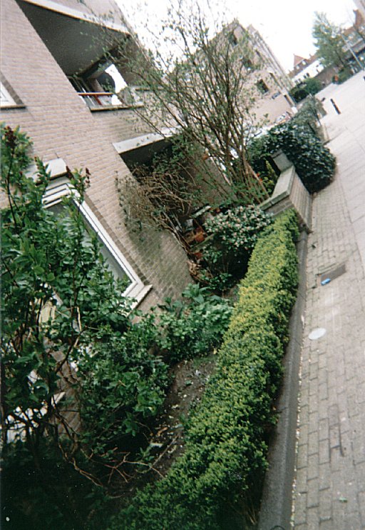 Img16