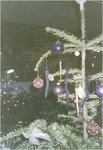 imm005