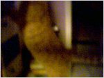 Peekaboo1
