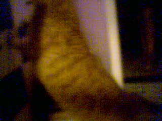 Peekaboo2