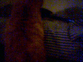 Peekaboo4