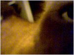 closeup1