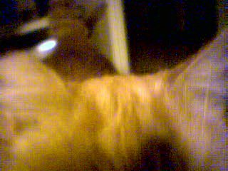 closeup2