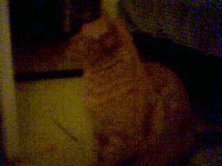 sitting2