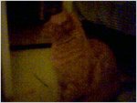 sitting2