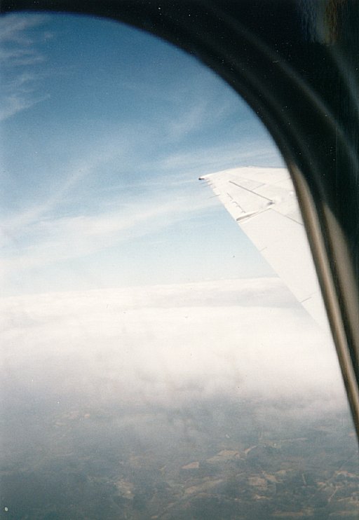 Img19