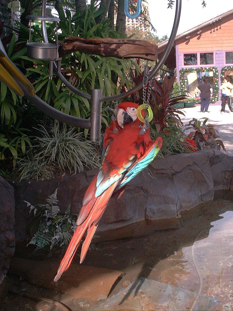 Image001