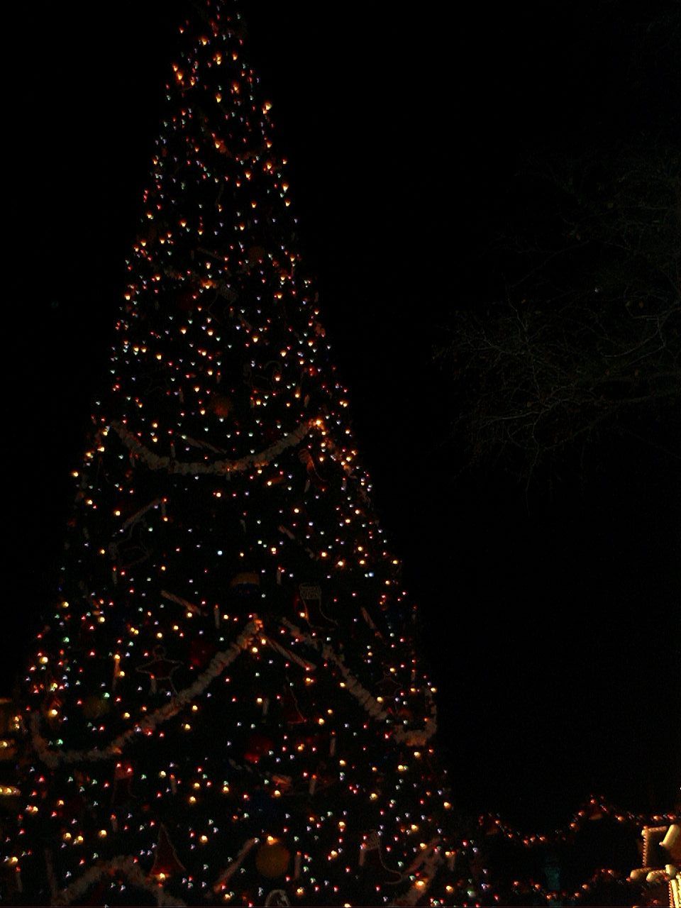 Image018