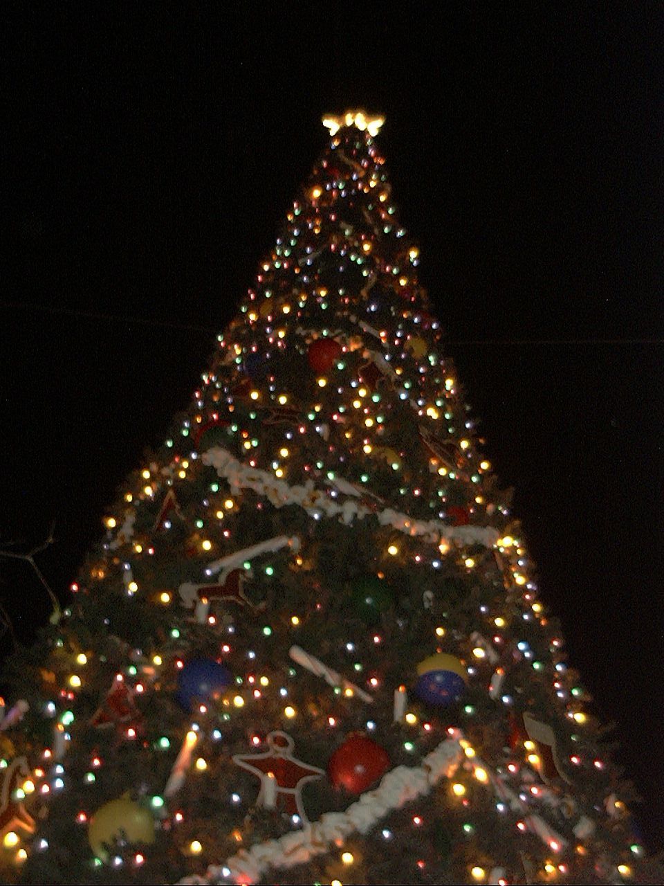Image019