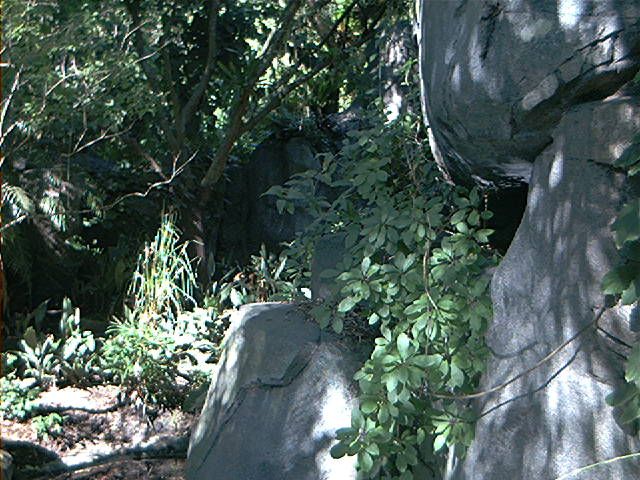 Image123