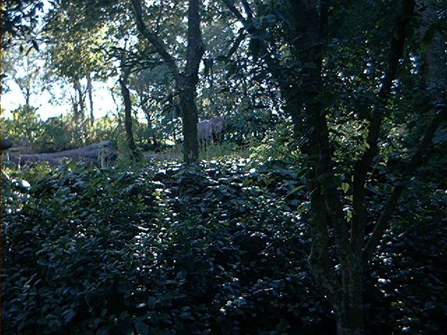 Image149