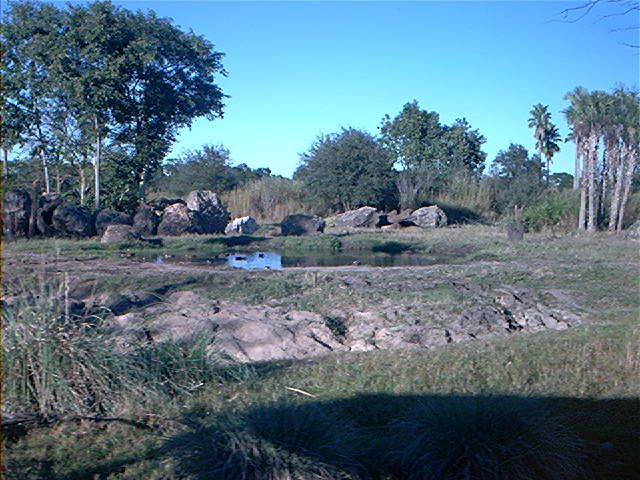 Image174