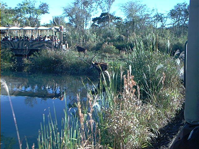 Image179
