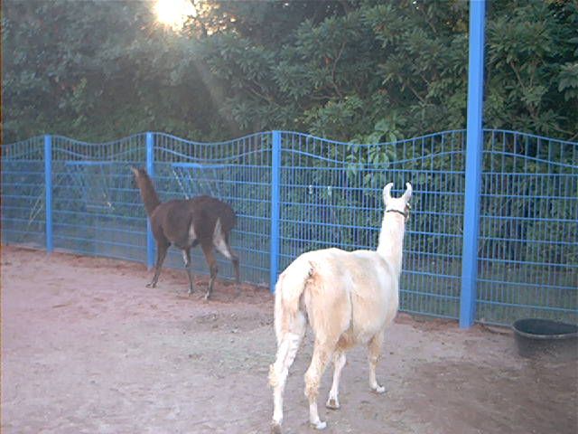 Image206