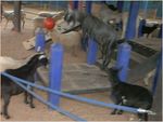 Image254