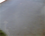 Image006