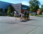 Image001