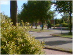 Koets01