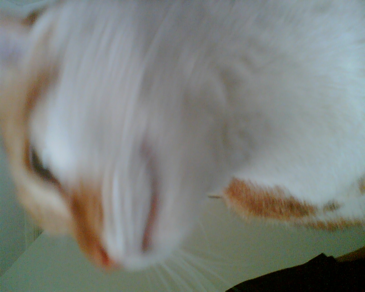 Image086