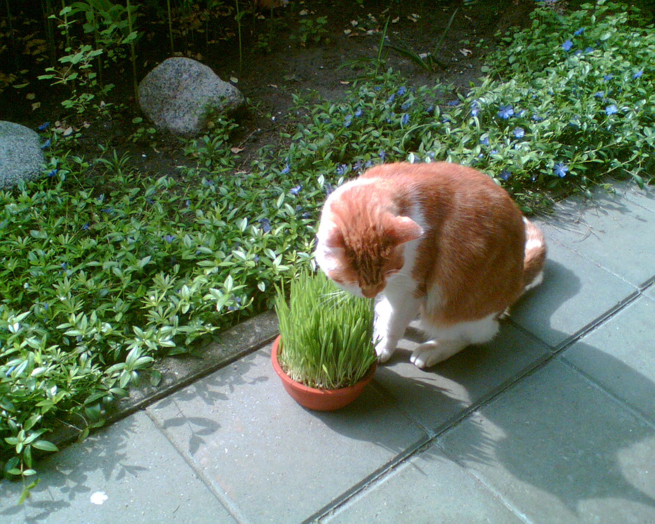 Image030