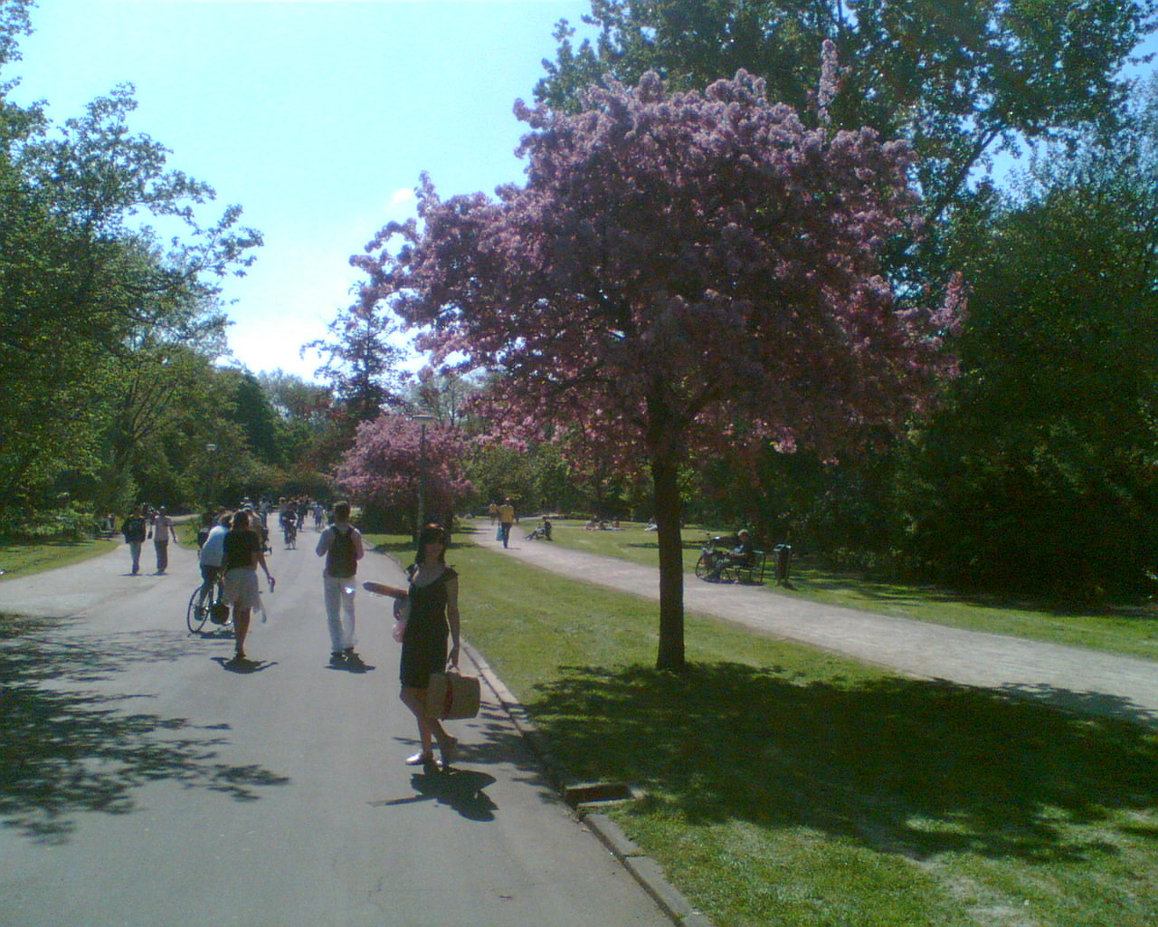 Image059