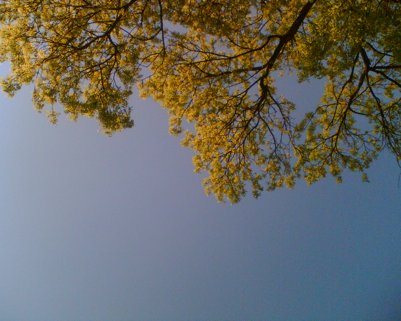 Image060