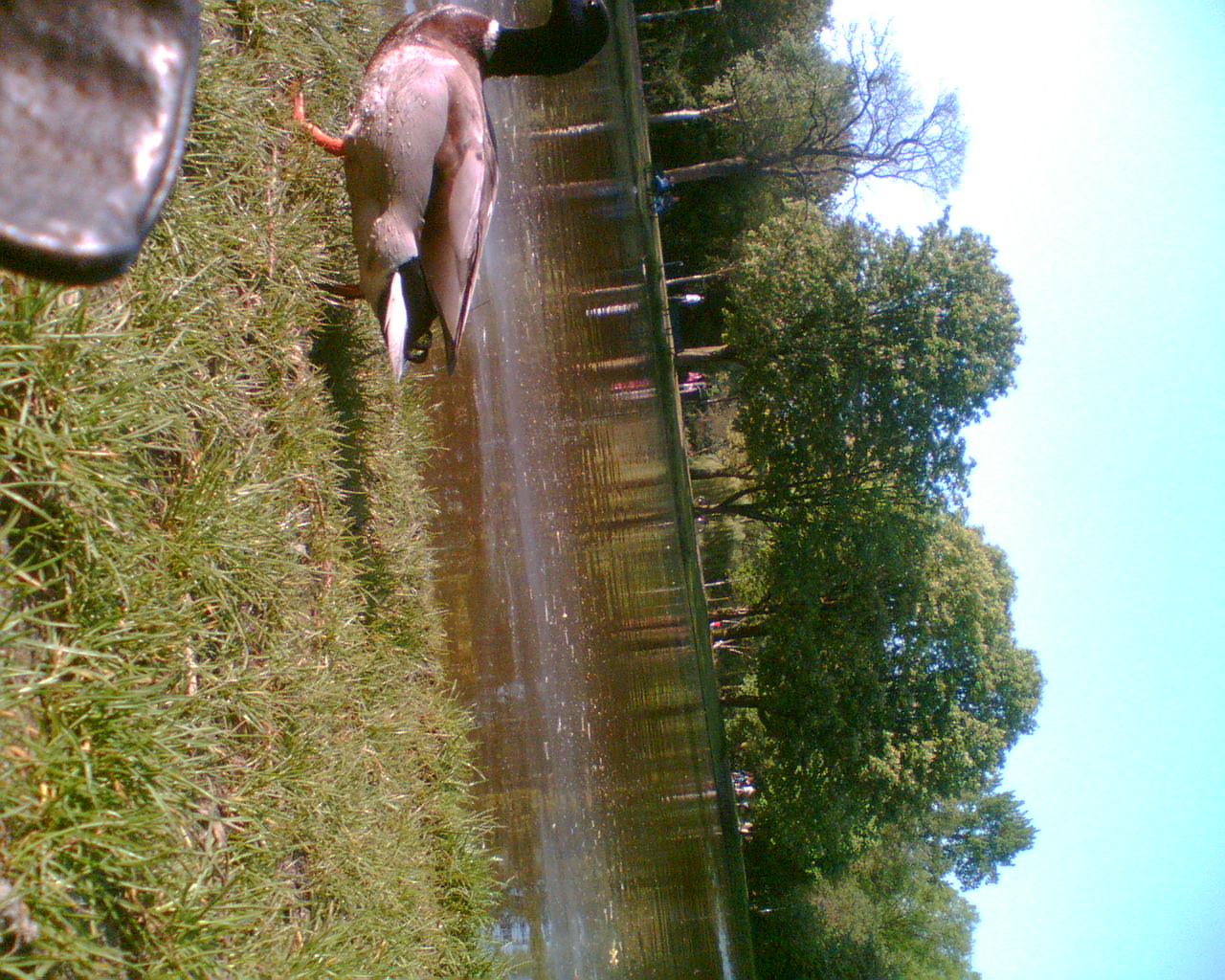 Image067