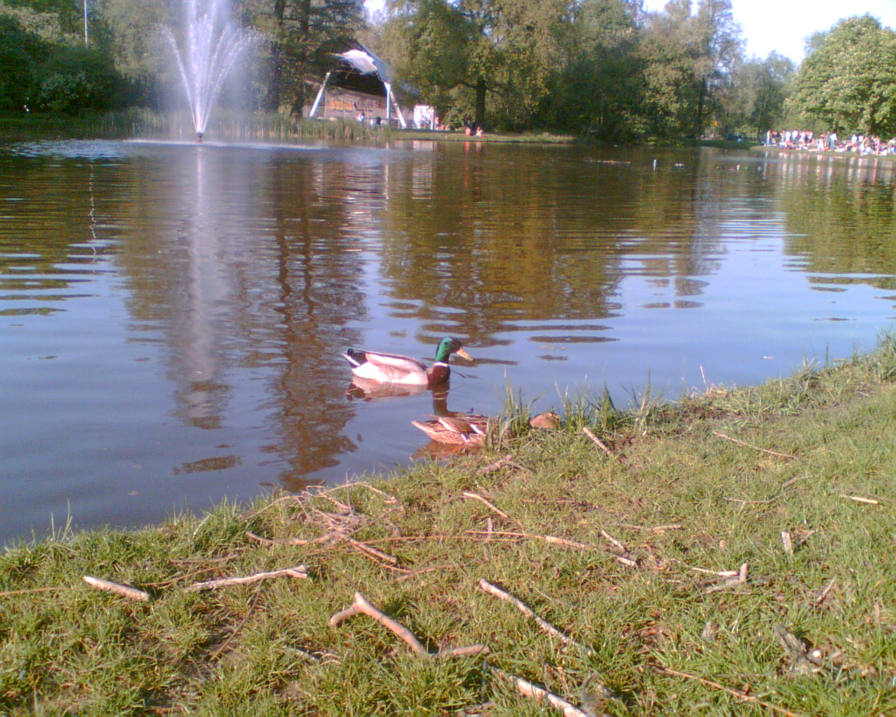 Image068