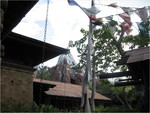 IMG_0019