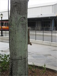 IMG_0109