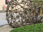 IMG_0131